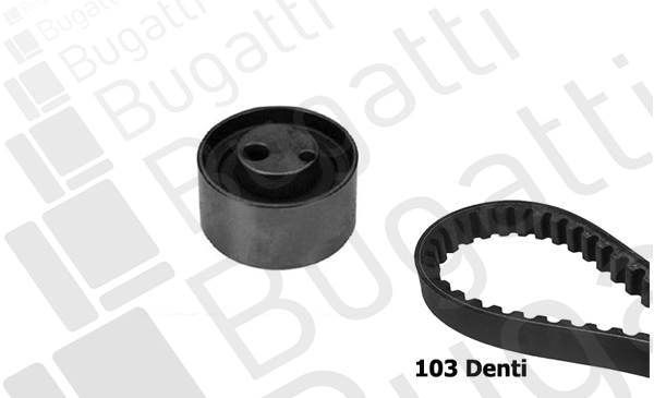 Timing Belt Kit (BKCD0182)