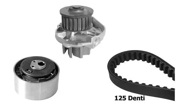 Water Pump & Timing Belt Kit (KBU10153B)