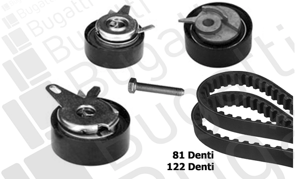 Timing Belt Kit (BKCD0066)