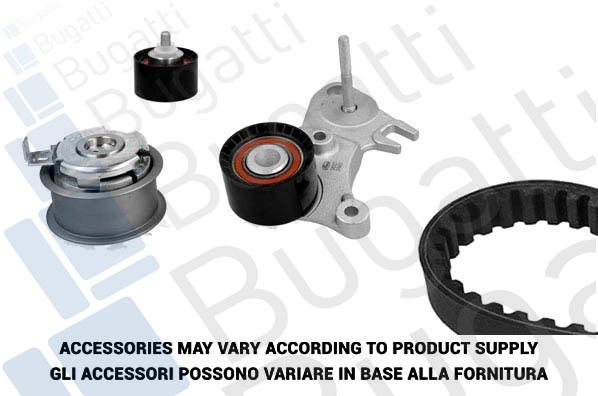 Timing Belt Kit (BKCD0819)