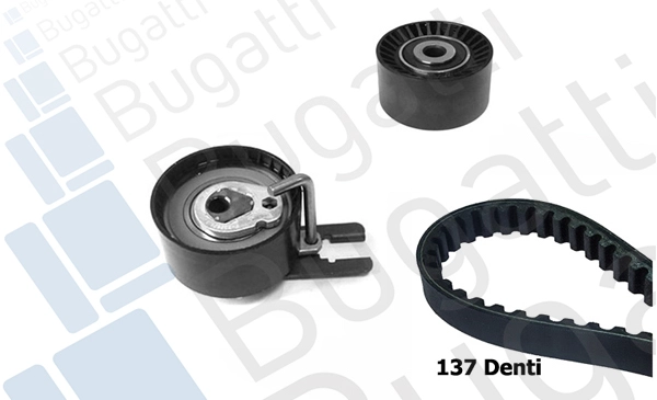 Timing Belt Kit (BKCD0324)