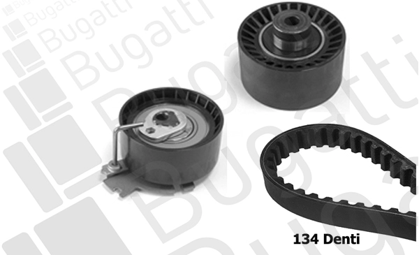 Timing Belt Kit (BKCD0081)