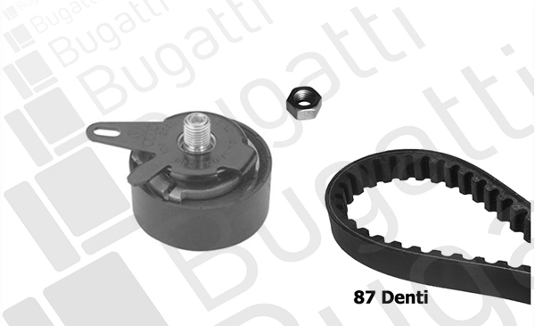 Timing Belt Kit (BKCD0617)