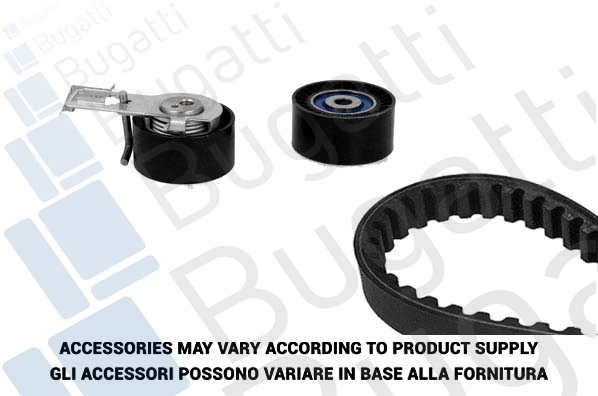 Timing Belt Kit (BKCD0809)