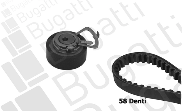 Timing Belt Kit (BKCD0222)