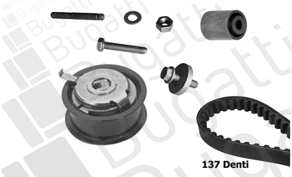 Timing Belt Kit (BKCD0604)
