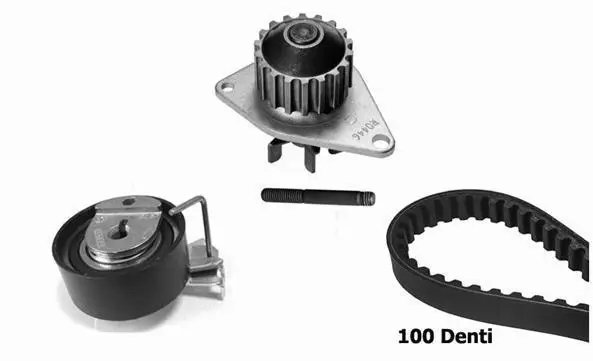Water Pump & Timing Belt Kit (KBU10012C)