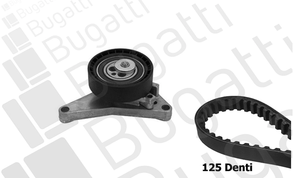 Timing Belt Kit (BKCD0674)