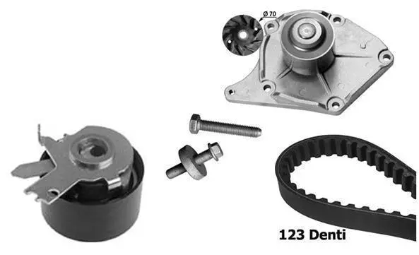 Water Pump & Timing Belt Kit (KBU10011B)