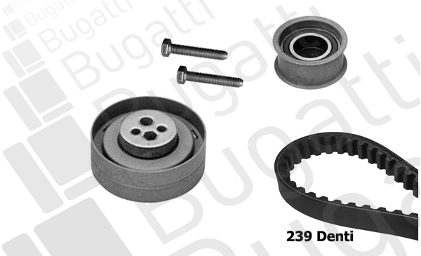 Timing Belt Kit (BKCD0728)