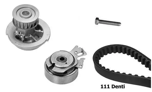 Water Pump & Timing Belt Kit (KBU9102A)