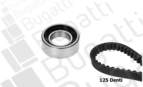 Timing Belt Kit (BKCD0586)
