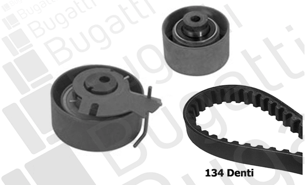 Timing Belt Kit (BKCD0079)