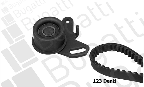 Timing Belt Kit (BKCD0161)