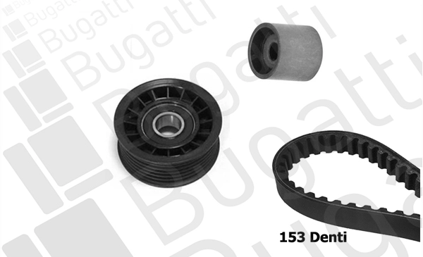 Timing Belt Kit (BKCD0624)