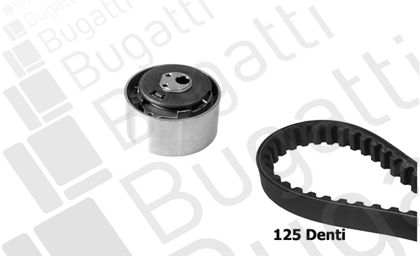 Timing Belt Kit (BKCD0165)