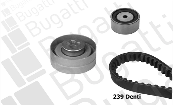 Timing Belt Kit (BKCD0640)