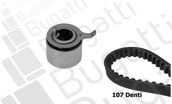 Timing Belt Kit (BKCD0206)