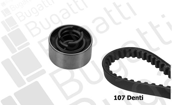 Timing Belt Kit (BKCD0147)