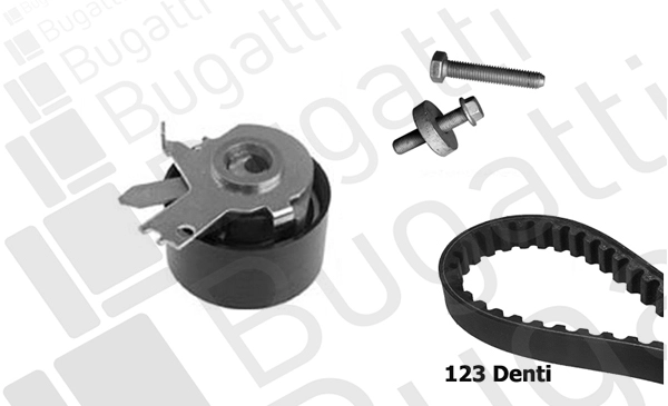 Timing Belt Kit (BKCD0578)