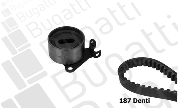 Timing Belt Kit (BKCD0255)