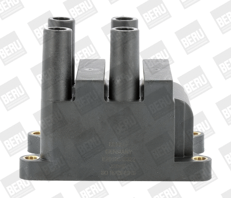 Ignition Coil (ZS556)