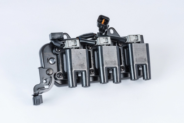 Ignition Coil (ZS555)