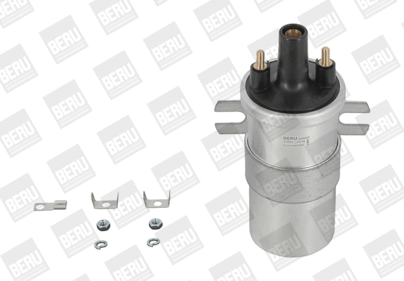 Ignition Coil (ZS563)