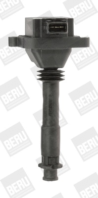 Ignition Coil (ZS310)