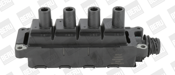 Ignition Coil (ZS307)