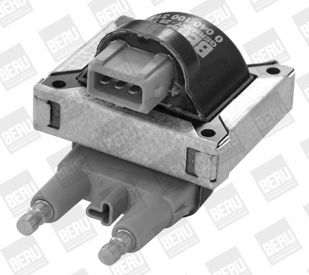 Ignition Coil (ZS318)