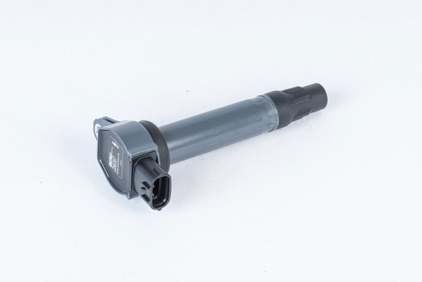 Ignition Coil (ZSE207)
