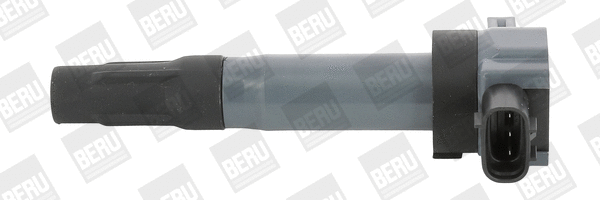 Ignition Coil (ZSE189)