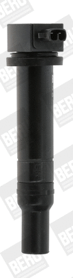 Ignition Coil (ZS481)