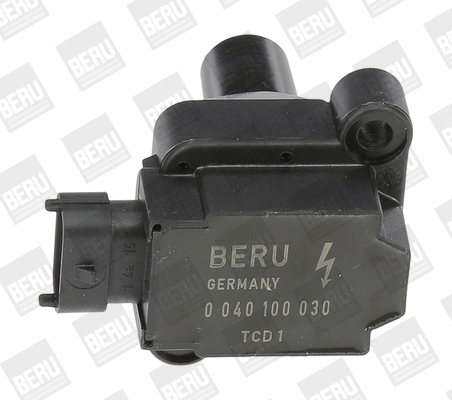 Ignition Coil (ZS030)