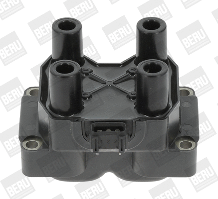 Ignition Coil (ZS300)