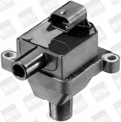 Ignition Coil (ZS309)