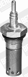 Glow Plug, parking heater