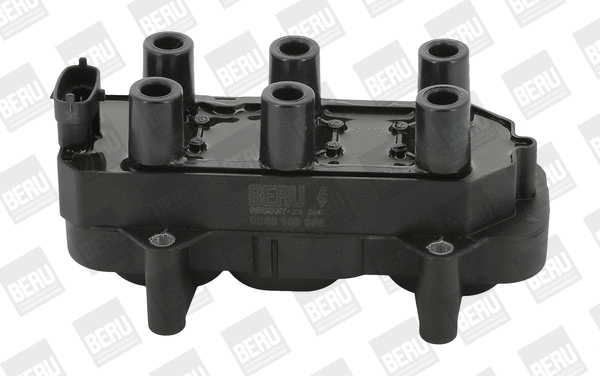 Ignition Coil (ZS306)