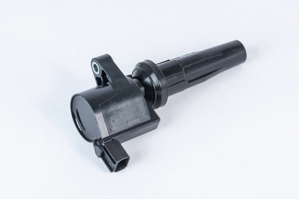 Ignition Coil (ZS592)