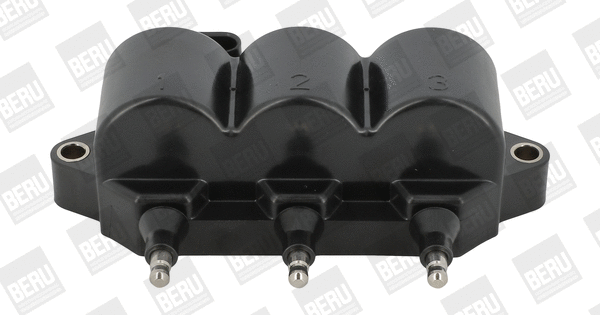 Ignition Coil (ZS539)