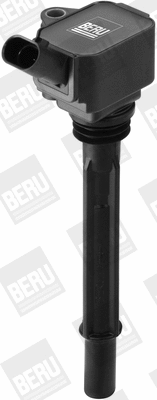 Ignition Coil (ZS096)