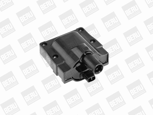 Ignition Coil (ZS445)
