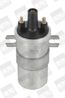 Ignition Coil (ZS565)