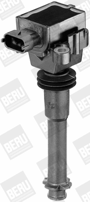 Ignition Coil (ZS311)
