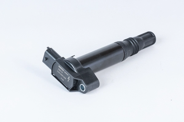 Ignition Coil (ZS574)