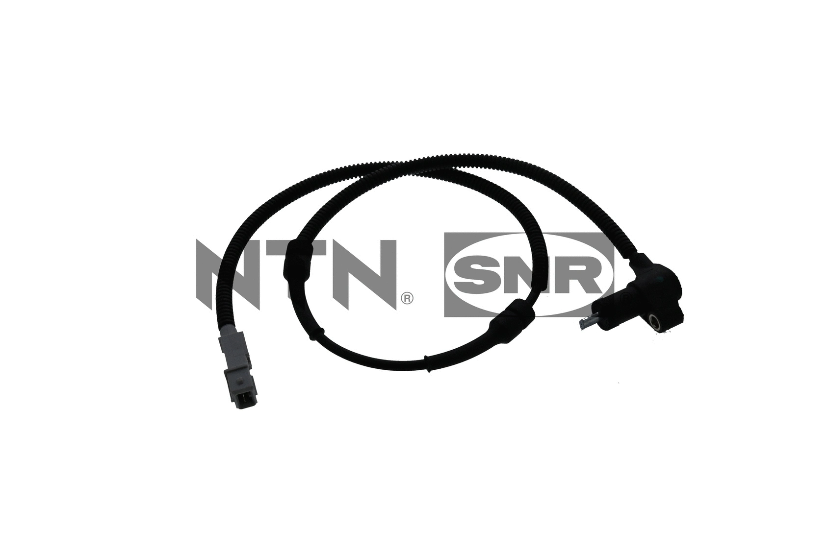 Sensor, wheel speed (ASB166.12)