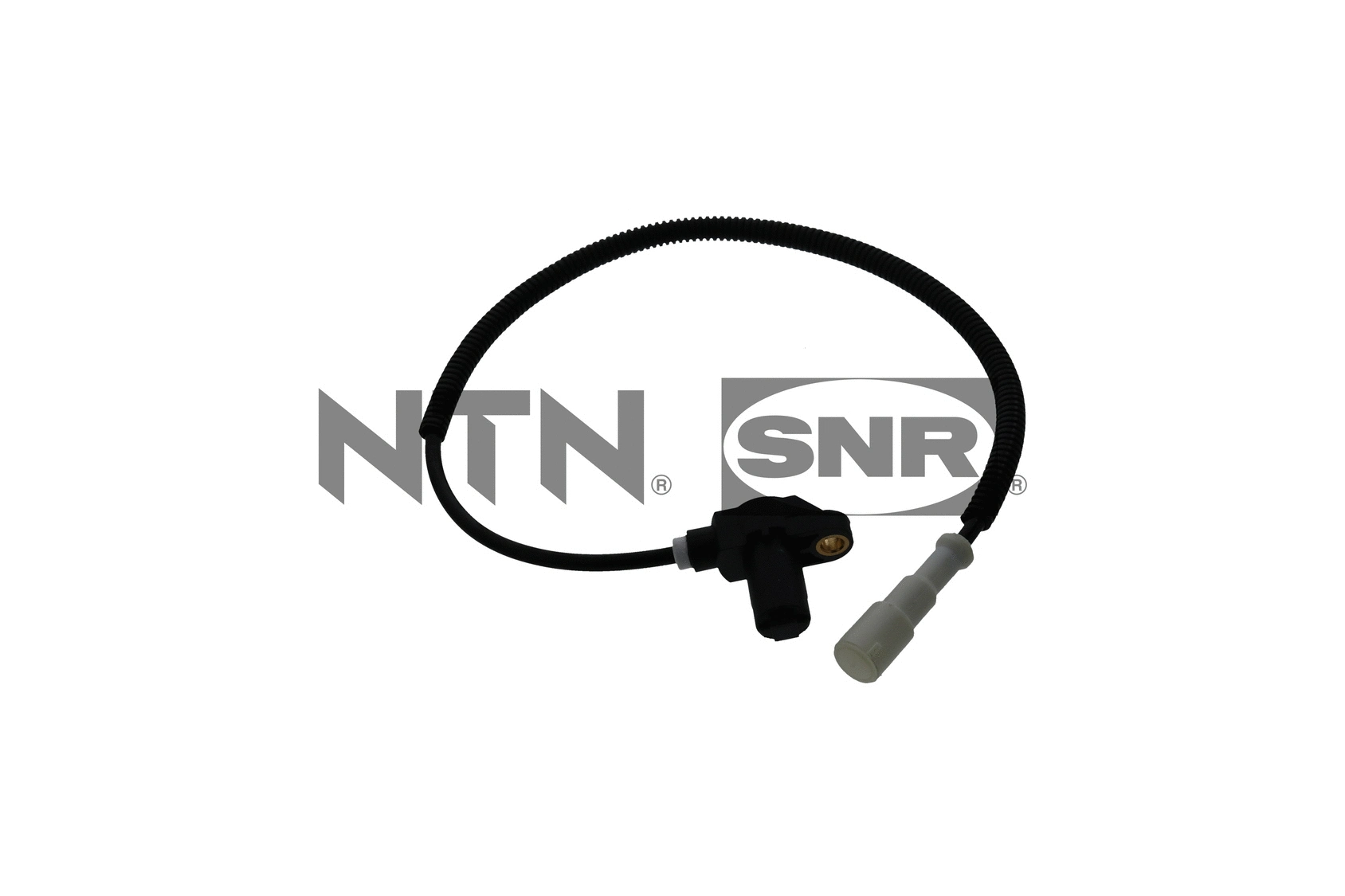 Sensor, wheel speed (ASB153.17)