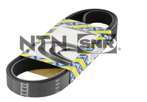V-Ribbed Belt (CA4PK810)