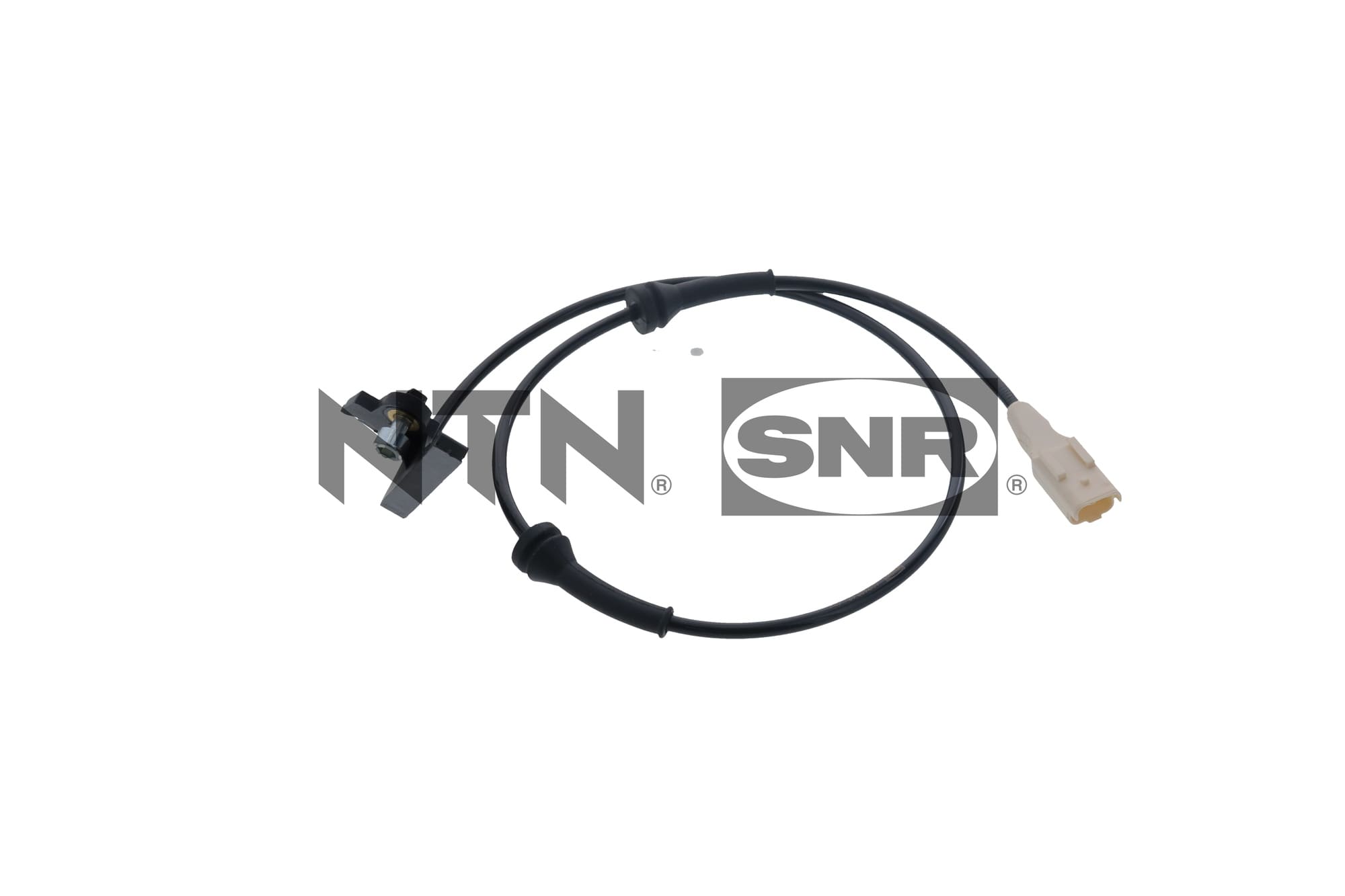 Sensor, wheel speed (ASB166.16)